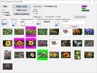 Picture Organizer